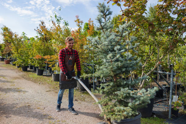 How Our Tree Care Process Works  in Newark, TX